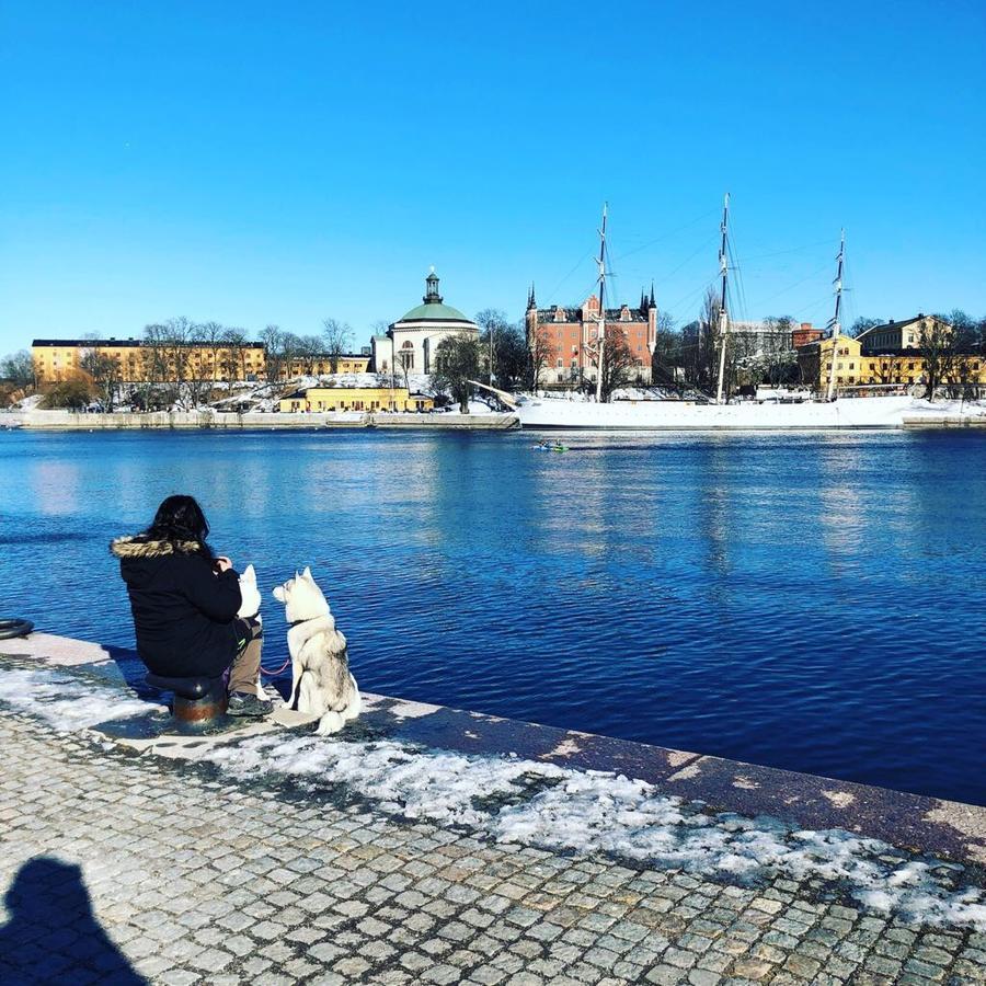 Dockside Hostel Ville de Ville de Stockholm Extérieur photo